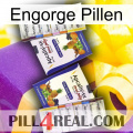 Engorge Pills 12